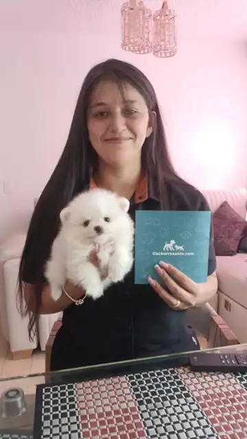 Clienta en casa con su cachorro Pomerania blanco y la guía de bienvenida de Cachorros Élite