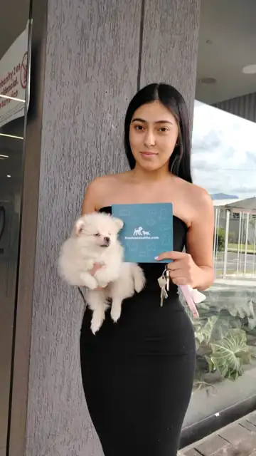 Clienta feliz con su cachorro Pomerania crema y la guía de bienvenida de Cachorros Élite