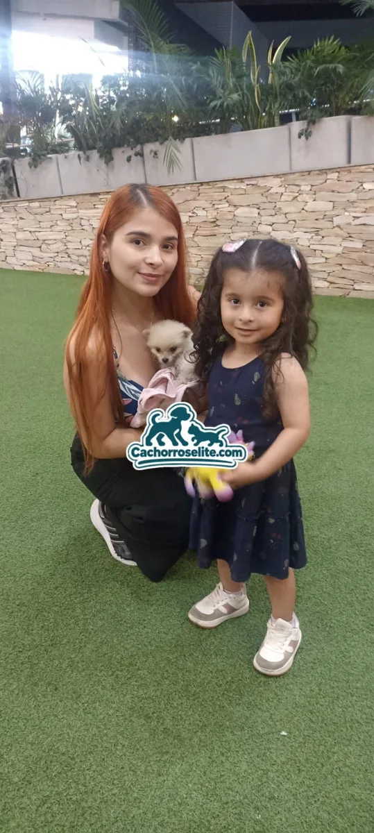 Mamá e hija con su nuevo cachorro Pomerania crema