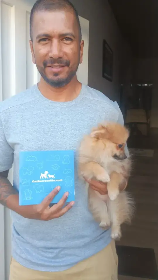 Cliente feliz con su cachorro Pomerania naranja y la guía de bienvenida de Cachorros Élite