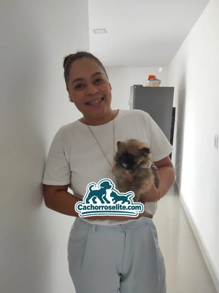 Clienta feliz con su cachorro Pomerania sable recién entregado
